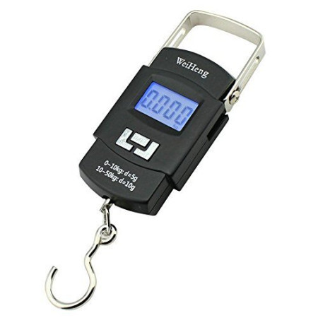 Hook System Digital Weighing Machine Upto 50 Kg