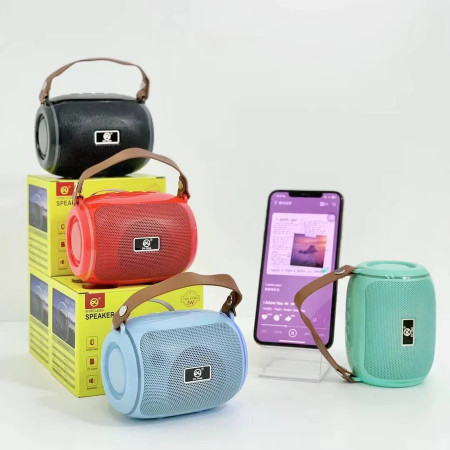 Portable Good Bass Wireless BT Speaker DV-1065-